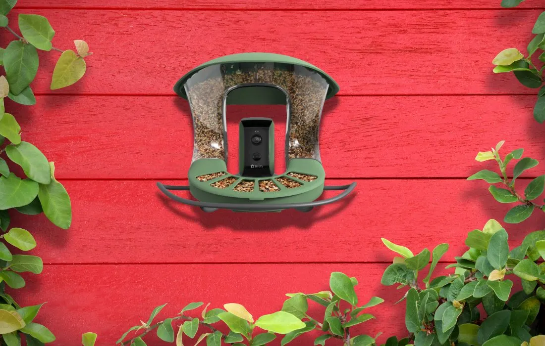 Test de la Birdfy Feeder 2 : quand l’intelligence artificielle s’invite à la mangeoire